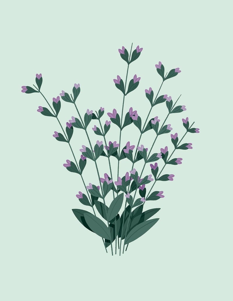 Botanical Illustrations