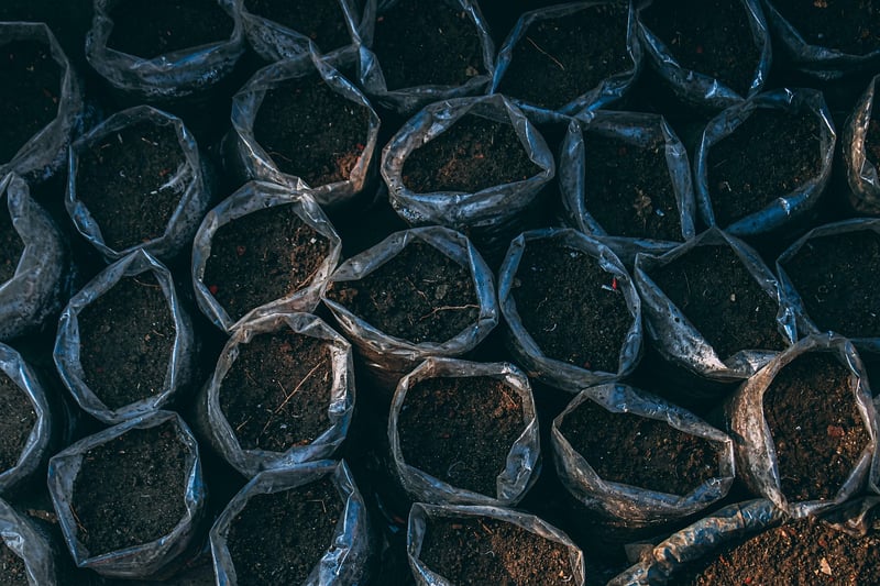 Ceramic Plant Pots