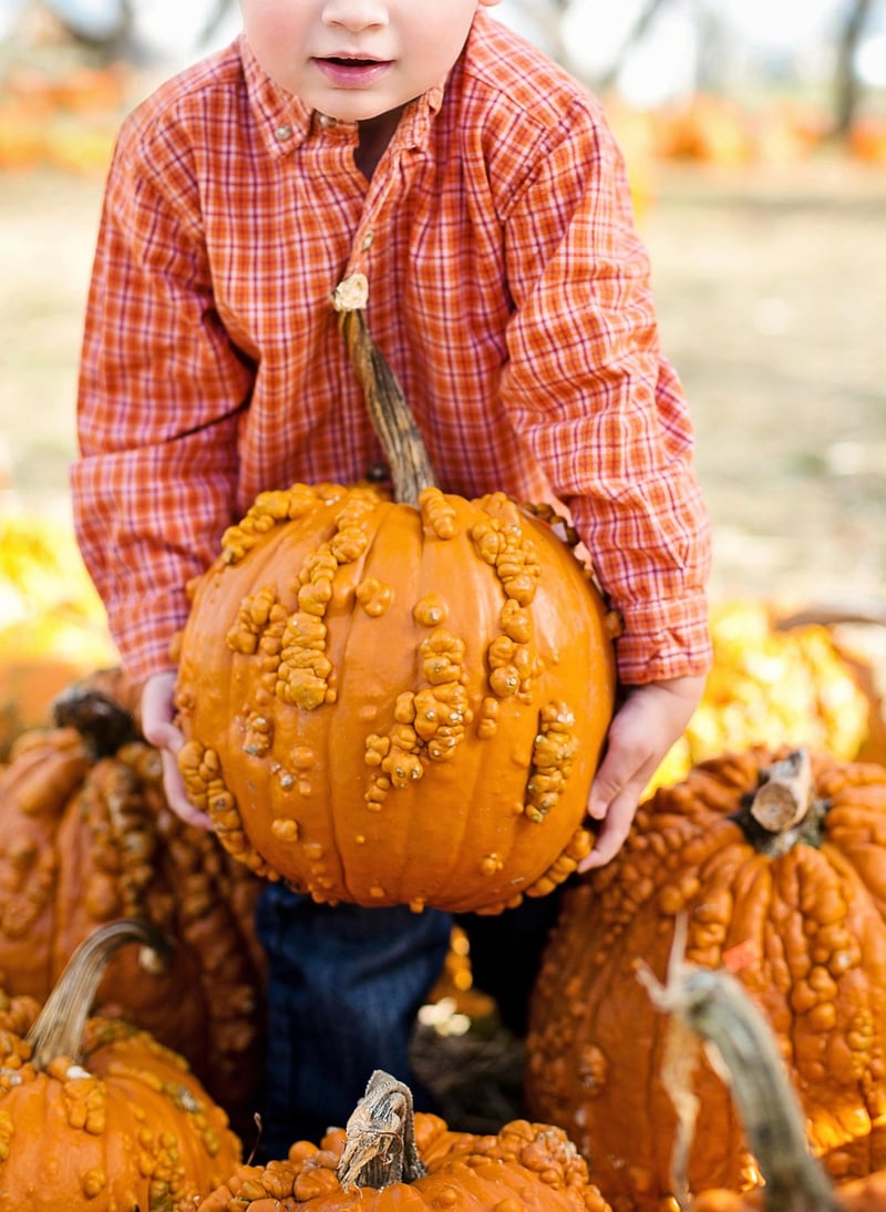 Fall Decorations